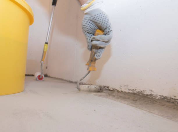 Best Commercial Pest Control  in Wheeling, IL